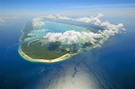 Aldabra Foto Natura (002)