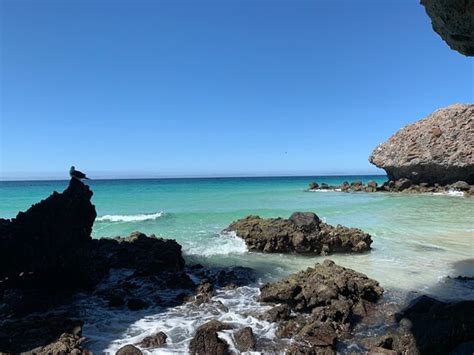 Balandra Beach La Paz All You Need To Know Before You Go Updated