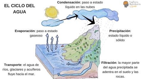 Ciclo Gaseoso Ejemplos Thetanmapa