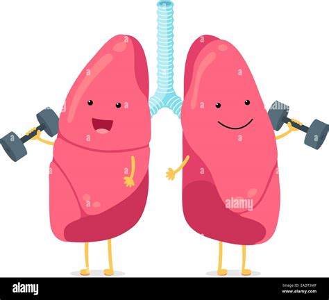 Cute Cartoon Funny Lungs Character With Dumbbells Strong Smiling Lung