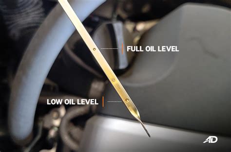 How To Check Your Car S Oil Level Autodeal