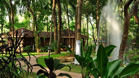 Kairali The Ayurvedic Healing Village India S Leading Destinations By Times Of India
