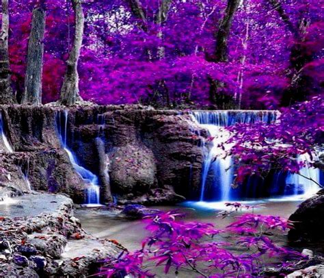 720p Free Download In The Forest And Waterfalls Purple Waterfalls