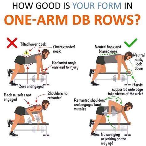 How To Properly Do One Arm Dumbbell Rows Tips Benefits