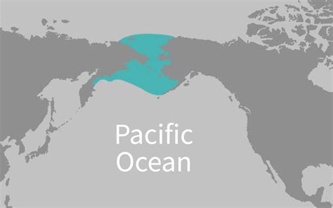 Pacific Walrus Marine Mammal Commission