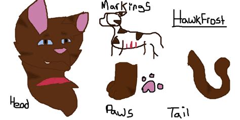 Hawkfrost Ref By Mistymidnights On Deviantart