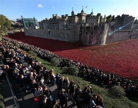 The Uk Observes Remembrance Sunday Remembrance Weekend 2014 In