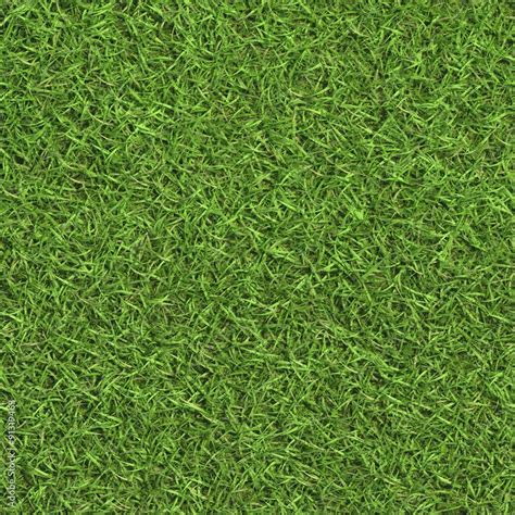 Lawn Grass Colour Map Beautiful Grass Texture Appropriate For Most