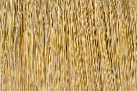 230 Straw Broom Bristles Stock Photos Pictures And Royalty Free Images
