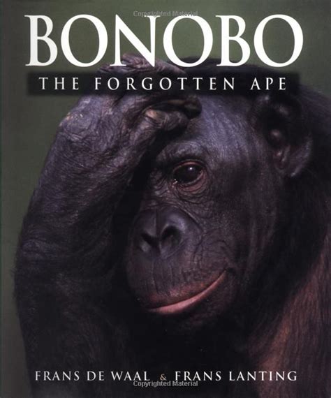 Bonobo The Forgotten Ape Bonobo Frans Lanting Great Ape