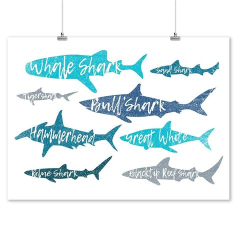 Shark Bedroom Shark Nursery Surfer Bedroom Key West Sign Printing