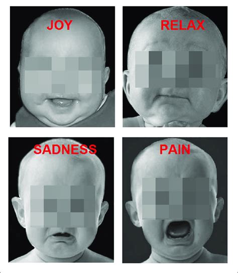 Examples Of Baby Faces Displaying The Four Types Of Emotions