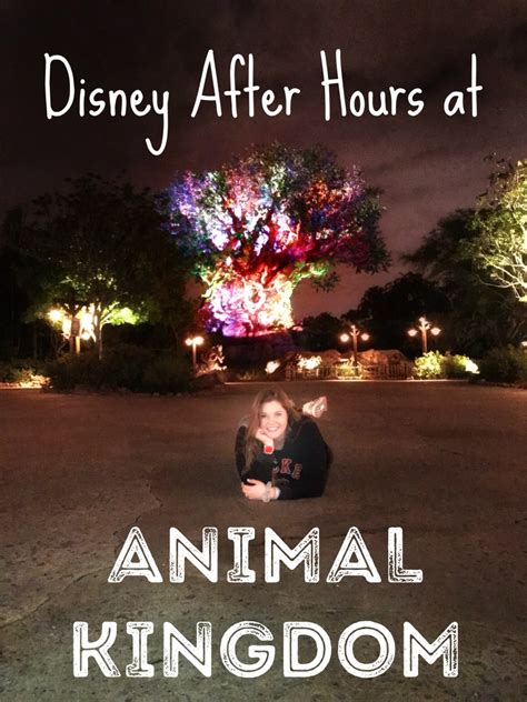 Disney After Hours At Animal Kingdom Review Hoots Of A Night Al