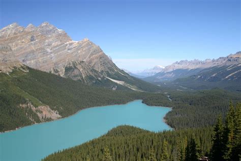 Peyto Lake Alberta Canada The Best Things To Do Video Beautiful My
