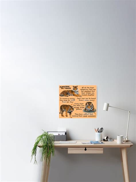 Sumatran Tigers Fun Facts Poster For Sale By Troyanthonyart Redbubble