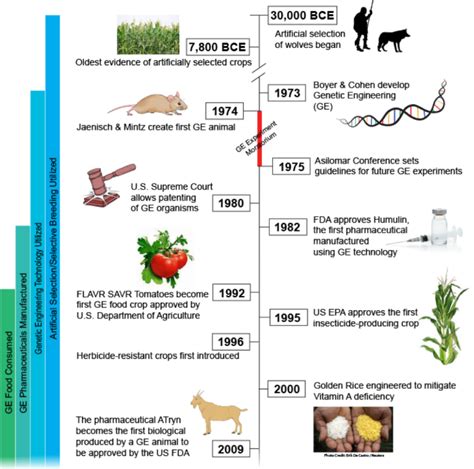 From Corgis To Corn A Brief Look At The Long History Of Gmo Technology