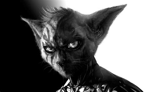 Image 1440x900 Cat Alien Art Digital Alien Cat 886 Animal Jam