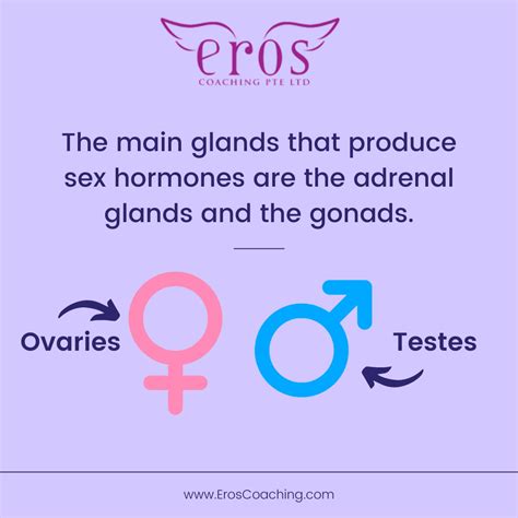 Heres What You Need To Know About Female Sex Hormones Eros Coaching