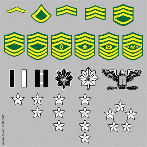 US Army Rank Insignia For Officers And Enlisted In Vector Stock Vektorgrafik Adobe Stock