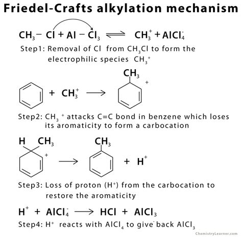 Friedel Crafts Alkylation Reaction Mechanism With Examples