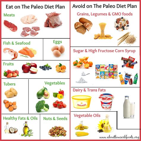 Paleo Diet Meal Plan Why It’s So Popular About Low Carb Foods