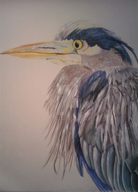Great Blue Heron Quick Sketch By Chrissymcal On Deviantart