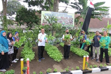 Menarmed Kostrad Menjadi Pelopor Urban Farming Terbaik Tingkat Kota Malang Klik Tv Co Id