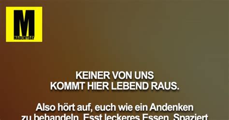 We did not find results for: KEINER VON UNS KOMMT HIER ... - Made My Day