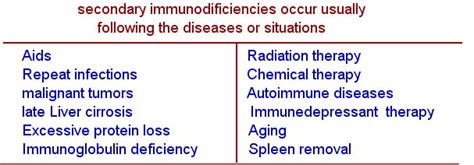 Immune Responses That Can Cause Disease The Immune System