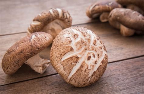 Shiitake Mushrooms Benefits Side Effects And Recipes