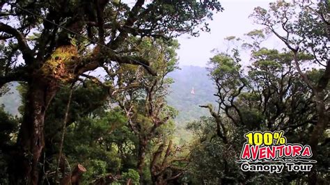 We specialize in canopy tours, but we've added some other amazing adventures that get your heart racing and get your adrenaline levels up to 100%! Canopy Tour Monteverde Costa Rica - YouTube