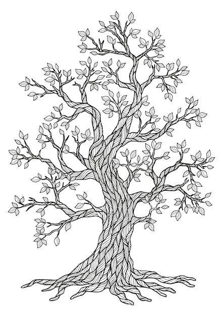 Tree With Roots Coloring Page