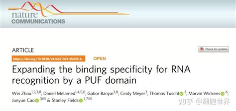 Nat Commun 科学家筛选获得更多rna特异识别的puf变体 知乎