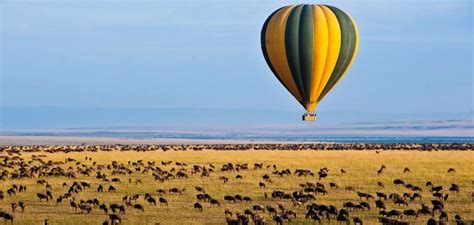 3 Days Maasai Mara Hot Air Ballooning Safari Kenya Safaris Kenya Tour