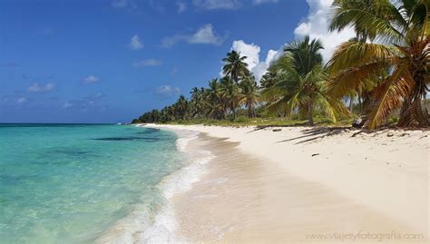 Excursión A Isla Saona El Caribe Soñado En La República Dominicana