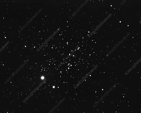 Open Star Cluster Ngc 457 Stock Image R6140240 Science Photo Library