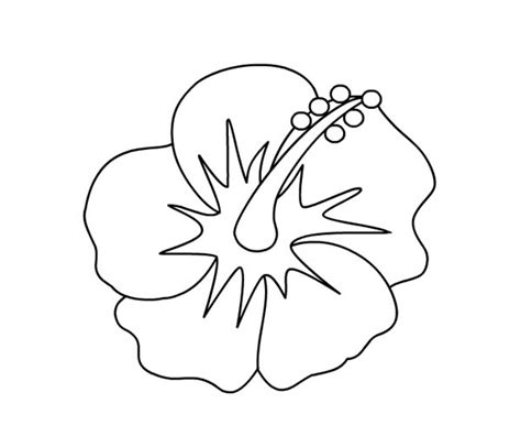 Hibiscus Flower Picture Coloring Page : Color Luna