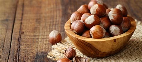 8 Health Benefits Of Hazelnuts Global Food United States