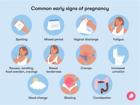 the ultimate guide to pregnancy symptoms upto 6 weeks women sutra