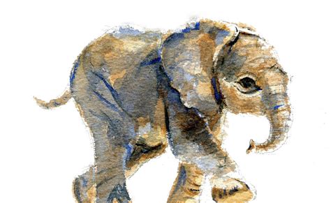 Original Watercolor Of A Baby Elephant By Marysflowergarden