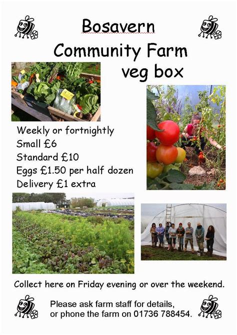 Bosavern Community Farm New Veg Box Poster
