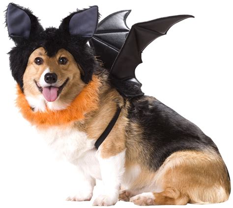 20 Absolutely Amazing Dog Halloween Costumes Style