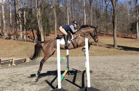 Whats In Your Ring With Huxley Greer Presented By Attwood Eventing Nation Three Day