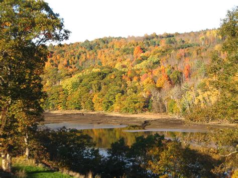 Beautiful Bear River Nova Scotia In The Autumn Nova Scotia Scenery