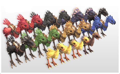 Image Ffxi Chocobobreed Final Fantasy Wiki Fandom Powered By