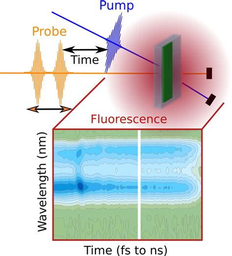 Fluorescence‐detected Pumpprobe Spectroscopy Malý 2021
