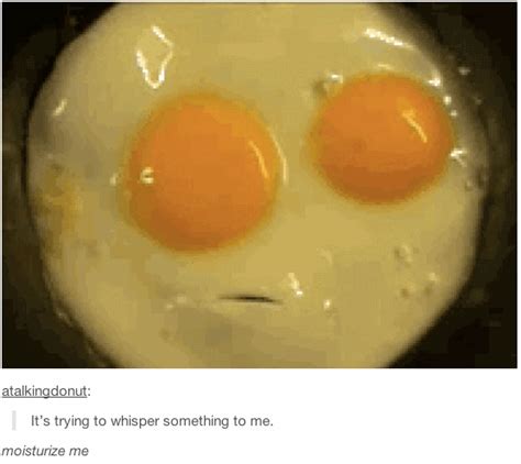 Eggs Over Easy Funny Pictures Tumblr Funny Funny 