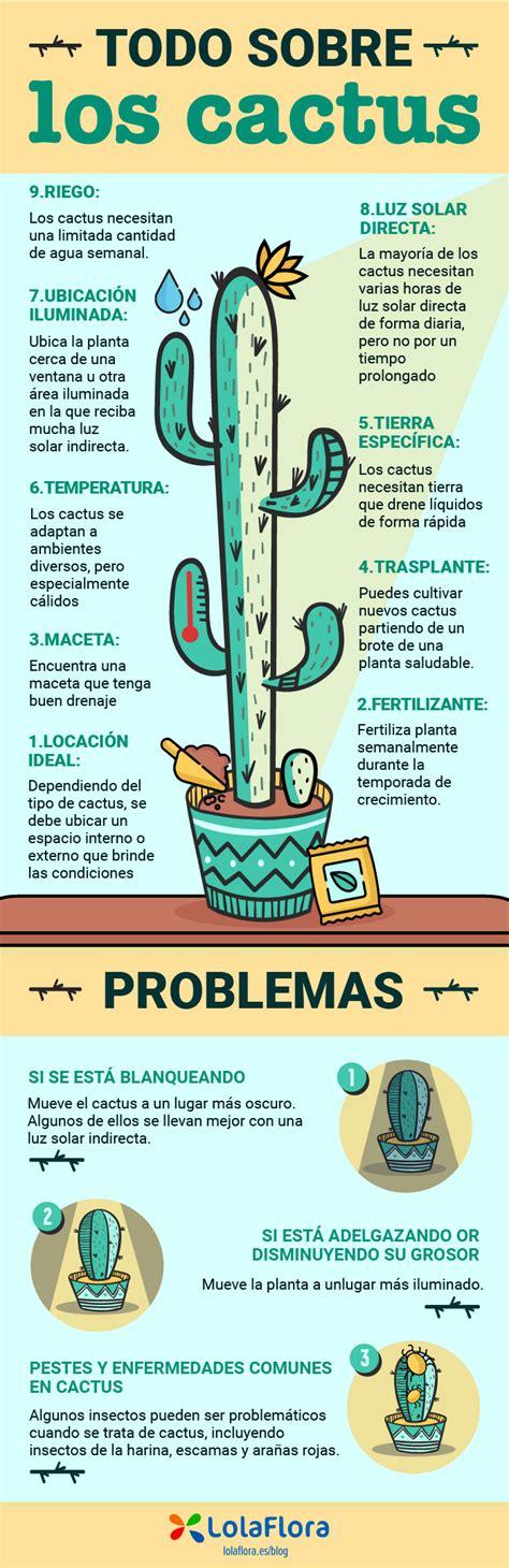 Download and customize our infographics for google slides and powerpoint and create visual representations of your data free easy to edit professional. Infografía: Todo sobre los cactus