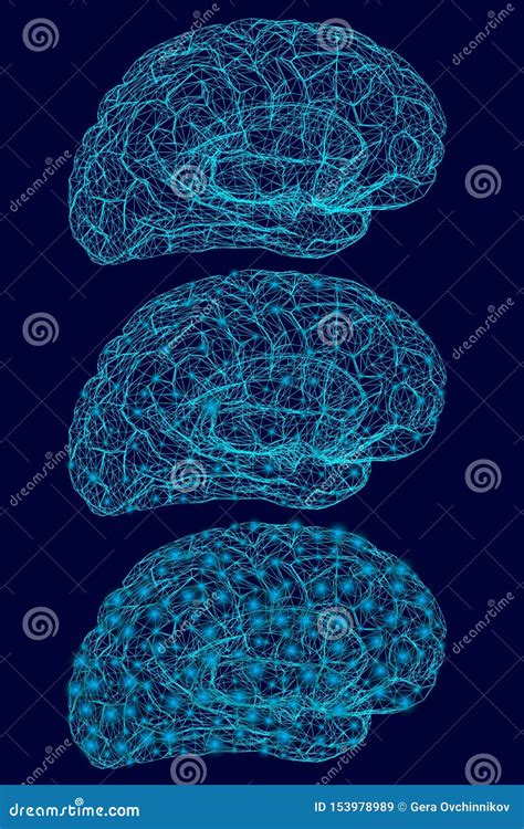 Wireframe Of The Human Brain Of The Blue Lines With Glowing Lights
