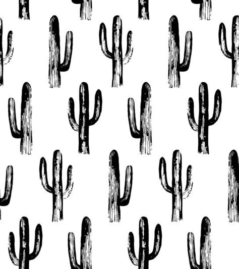 Gallery for black and white cactus 3 format: Best Black And White Cactus Illustrations, Royalty-Free ...